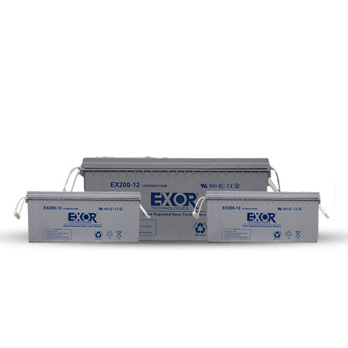 exor battery